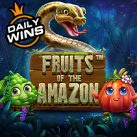 Fruits of Amazon